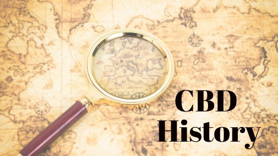 What does cbd stand for